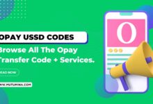 Opay Ussd Code Transfer Codes